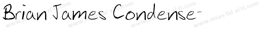 Brian James Condense字体转换